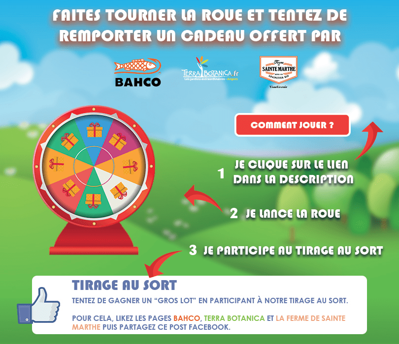 Exemple de Tirage au sort sur Facebook Source Facebook-min