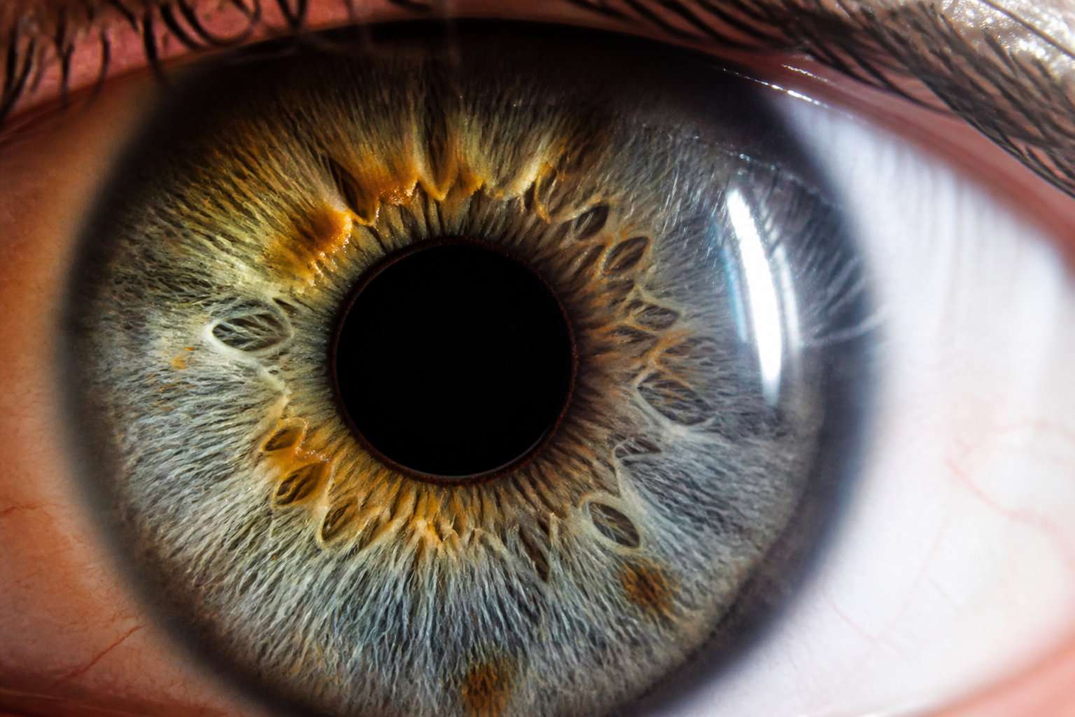 IA et vision : l'avenir du marketing digital